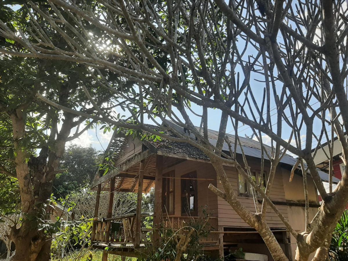 Pai River Jam Hostel & Campground Eksteriør billede