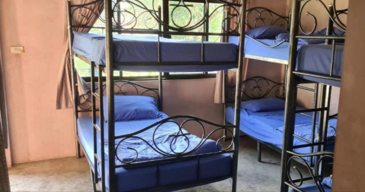 Pai River Jam Hostel & Campground Eksteriør billede